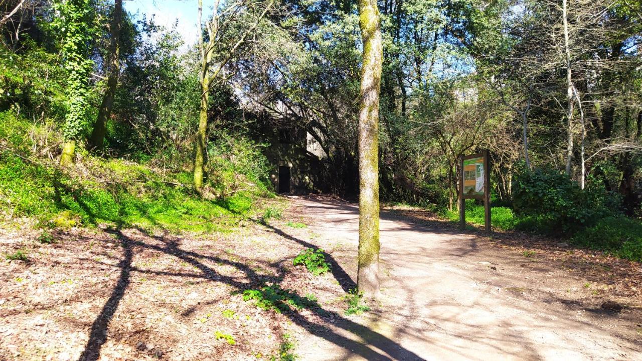 Villa Wasi Compostela à Saint-Jacques-de-Compostelle Extérieur photo